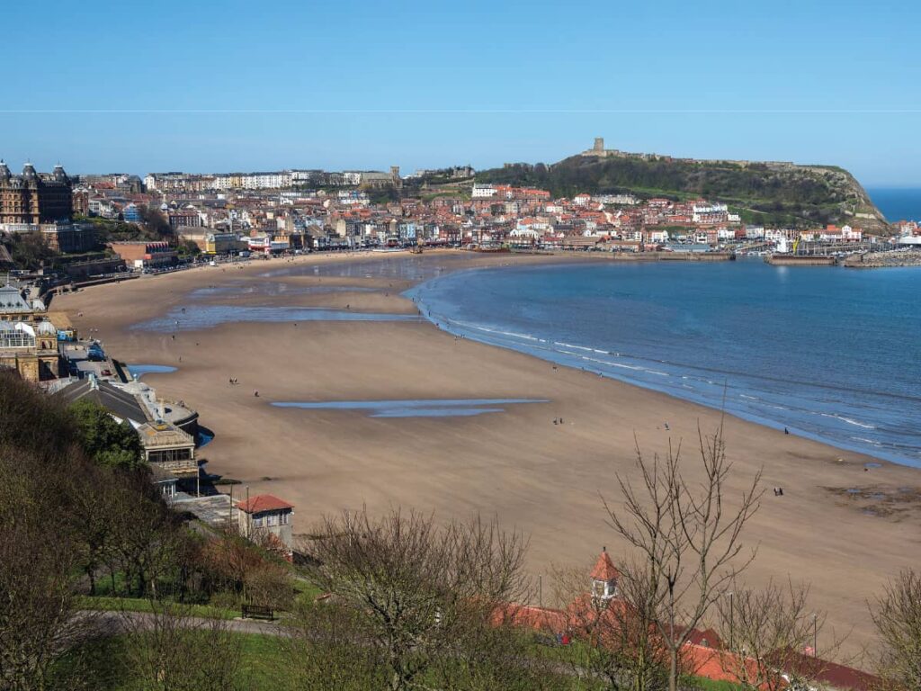 fish & chip packaging available in Scarborough