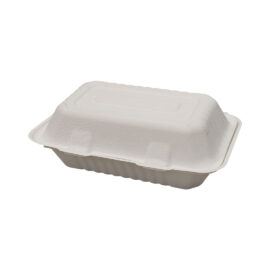 bagasse food boxes